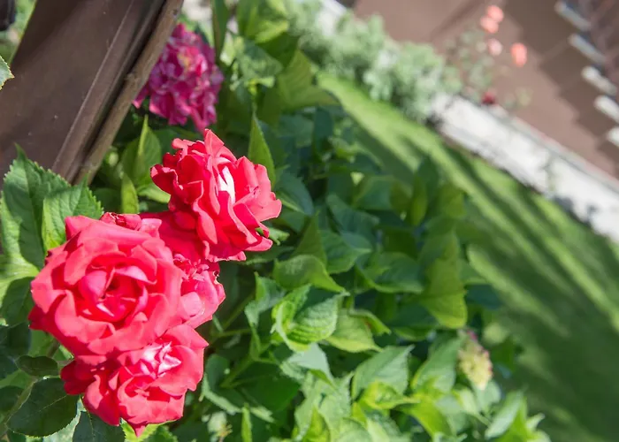 Apartament Pipini Luxury Limenas (Thasos)